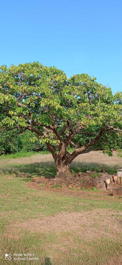Narayanalayam-Vintage Retreat-Homestay & Rest'Inn Kannur Dış mekan fotoğraf