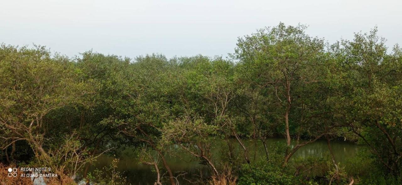 Narayanalayam-Vintage Retreat-Homestay & Rest'Inn Kannur Dış mekan fotoğraf