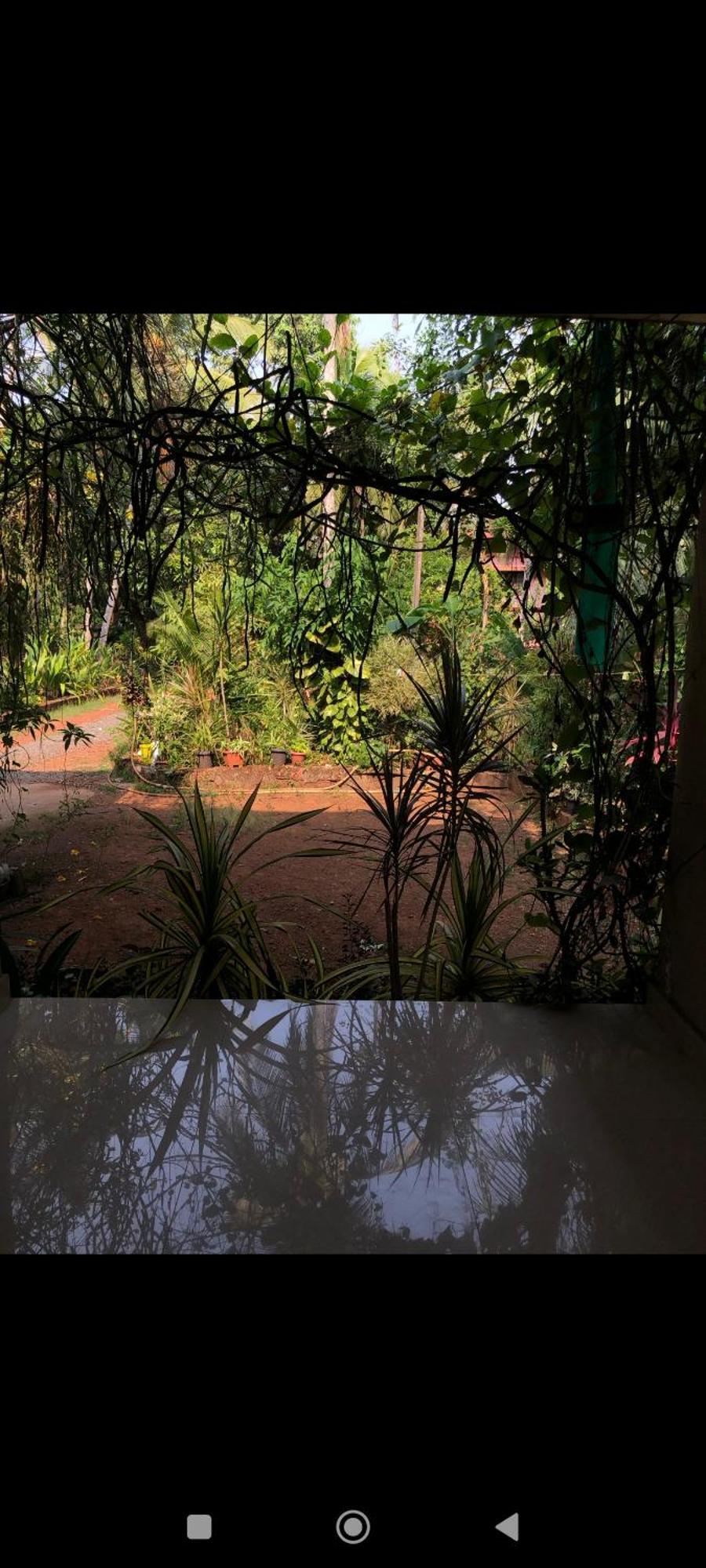 Narayanalayam-Vintage Retreat-Homestay & Rest'Inn Kannur Dış mekan fotoğraf
